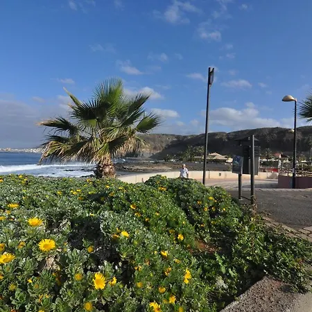 Palm Mar - Studio Mocan 2 Ad Y 3 Nin