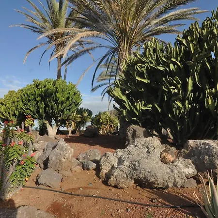 Palm Mar - Studio Mocan 2 Ad Y 3 Nin *