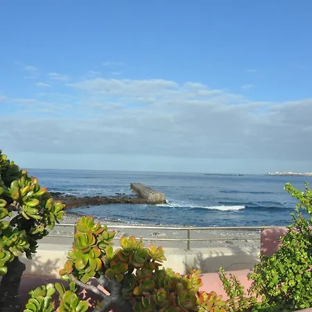 Apartamento Palm Mar - Studio Mocan 2 Ad Y 3 Nin *